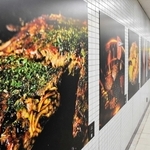 「おいしい違和感」「異変」探して!　地元グルメや架空メニューの写真展示　地下鉄海岸線・新長田駅