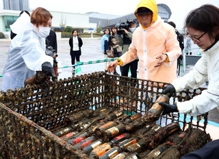 海底で熟成したワイン。瓶に付いた海藻や貝を取り除き、仕分けるフェリシモの社員ら＝中央区新港町