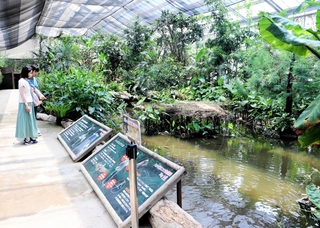 新設された「ハシビロコウ生態園Ｂｉｇｂｉｌｌ」。アフリカの湿地を再現した＝神戸どうぶつ王国