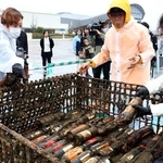 海底で熟成したワイン。瓶に付いた海藻や貝を取り除き、仕分けるフェリシモの社員ら＝中央区新港町