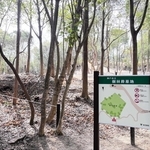 神戸市、樹林葬墓地の利用開始　20年で1600人を埋葬予定　北区・ひよどりごえ森林公園