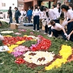 路上に咲くパンダや馬　神戸・元町に花絵アート「インフィオラータ」　5月3～5日、北野坂でも