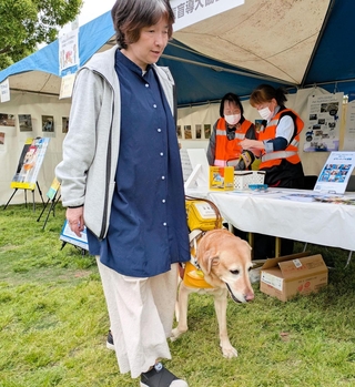 盲導犬と一緒に出展ブースを回る視覚障害者の女性＝神戸市兵庫区、湊川公園