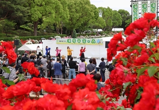 バラが咲く公園でダンスを披露する出演者＝須磨離宮公園