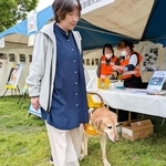 盲導犬と一緒に出展ブースを回る視覚障害者の女性＝神戸市兵庫区、湊川公園