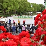 バラが咲く公園でダンスを披露する出演者＝須磨離宮公園