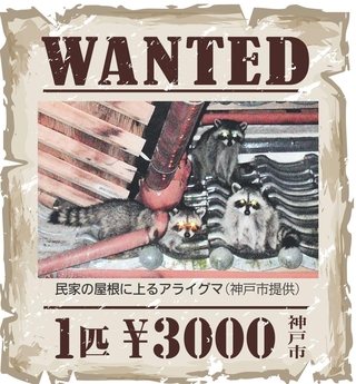 神戸新聞NEXT