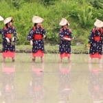 早乙女姿で田植えをする神戸鈴蘭台高校のダンス部員ら＝あいな里山公園