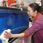 垂水区役所に通い、クラゲの世話を続ける植田育子さん。その愛情が、３世代の同居につながった＝神戸市垂水区日向１