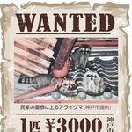 神戸新聞NEXT