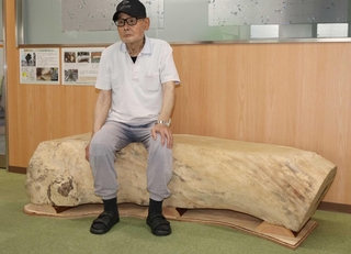 エノキの木目などを生かして製作されたベンチ＝兵庫区役所