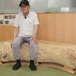 神戸・兵庫区東山町の「神木」、区役所ベンチに再利用　推定樹齢100年超のエノキ、倒木の恐れで伐採