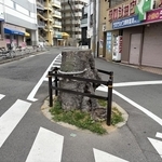 伐採された後も、地域住民の要望で切り株が残っている＝２０２６年６月、神戸市兵庫区東山町（神戸市提供）