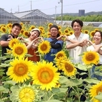 ヒマワリ畑を企画した原さつきさん（左から２人目）、鶴田善久さん（同３人目）ら＝神戸市西区伊川谷町前開