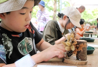 木の実や枝を使った工作を体験する子どもたち＝市立森林植物園