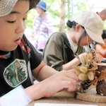 木の実や枝を使った工作を体験する子どもたち＝市立森林植物園