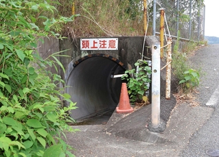 神戸新聞NEXT