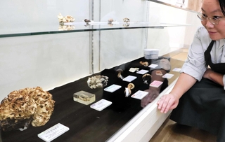 六甲山地で採集されたキノコの標本が並ぶ＝市立森林植物園