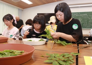 エノキの葉を数える参加者たち＝神戸市立森林植物園