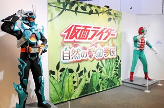 仮面ライダーとそのモチーフになっている昆虫や植物などの自然について学べる特別展＝神戸海洋博物館