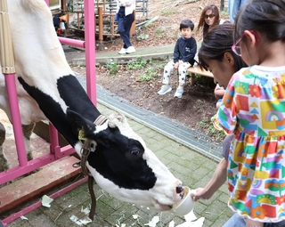 長年、牧場を支えてきた動物たちに感謝の餌やりをする親子＝六甲山牧場