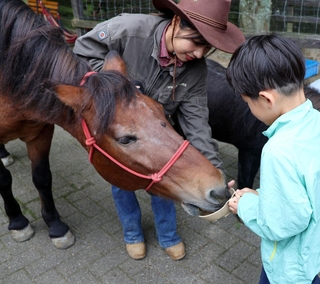 長年、牧場を支えてきた動物たちに感謝の餌やりをする子ども＝六甲山牧場