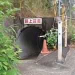 神戸新聞NEXT