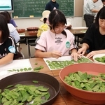 1本の木に葉は何枚?　数えてみた　撤去の7mエノキ、27人が2時間かけ1万7361枚と判明　神戸・森林植物園
