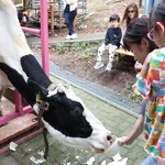 長年、牧場を支えてきた動物たちに感謝の餌やりをする親子＝六甲山牧場