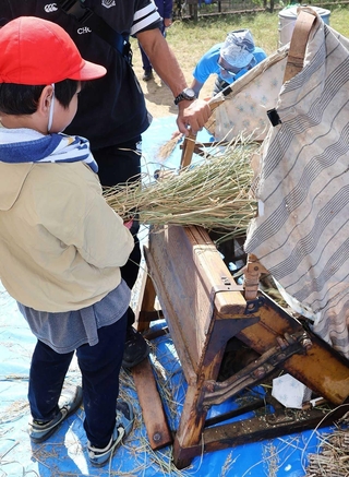 １００年以上前の脱穀機を使う子どもたち＝長福寺