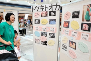 胎児のエコー写真を見る入場者＝デュオドーム