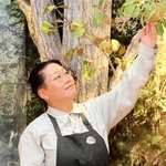 ＜これぞ神戸流＞神戸市立森林植物園スタッフ・宮内元子さん　素朴な疑問が発信力の源泉