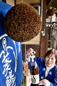 「葵鶴しぼりたて」の完成を知らせる杉玉＝稲見酒造