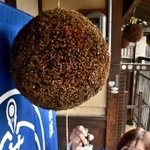 「葵鶴しぼりたて」の完成を知らせる杉玉＝稲見酒造