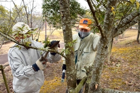 枝切りに取り組むメンバー＝三木市吉川町みなぎ台２