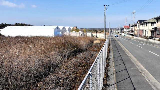 整備計画が進む「青山７丁目団地再耕プロジェクト」。予定地には空き地（左）が広がる＝三木市志染町青山７