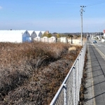 整備計画が進む「青山７丁目団地再耕プロジェクト」。予定地には空き地（左）が広がる＝三木市志染町青山７