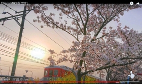 動画の１シーン。夕日の中の神戸電鉄粟生線と桜