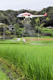 害虫や病気の被害を防ぐために農薬を散布する無人ヘリ＝三木市吉川町実楽