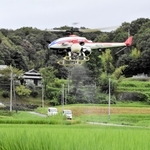 害虫や病気の被害を防ぐために農薬を散布する無人ヘリ＝三木市吉川町実楽