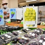 ＪＡ兵庫みらいの農産物直売所「三木みらい館」では８月末からシャインマスカットが並び始めた＝三木市緑が丘町西４