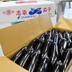 きれいなツヤが印象的な志染なす＝三木市細川町豊地