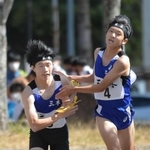 男子・三木の４区横山幹太選手（右）からたすきを受け取る５区畑中晟希選手＝西脇市総合市民センター（撮影・笠原次郎）