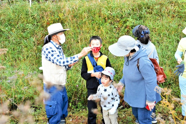 植物や昆虫などを観察する子どもら＝三木市細川町増田