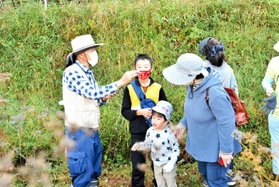 植物や昆虫などを観察する子どもら＝三木市細川町増田