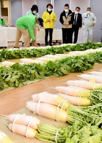 吉川町内の農家が出品した農産物＝山田錦の館