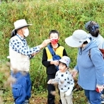 植物や昆虫などを観察する子どもら＝三木市細川町増田