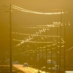 ｍａｓｓａｒ＿ｃ１２５さんの「ＳＡＳＵＲＡＩ」（２０２２年２月５日、加西市東剣坂町付近）