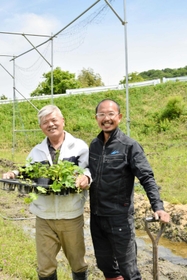 自家製ホップ栽培に挑む垂井健さん（左）と鈴木昭彦さん＝三木市志染町戸田