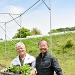 自家製ホップ栽培に挑む垂井健さん（左）と鈴木昭彦さん＝三木市志染町戸田